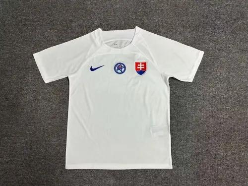 2024 Slovakia Euro Cup Away Football Jersey