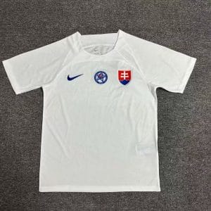2024 Slovakia Euro Cup Away Football Jersey
